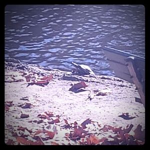 Meet your Posher, Joe